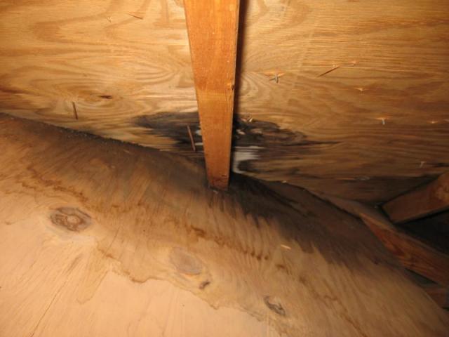 Roof Leak