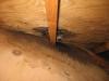 Roof Leak