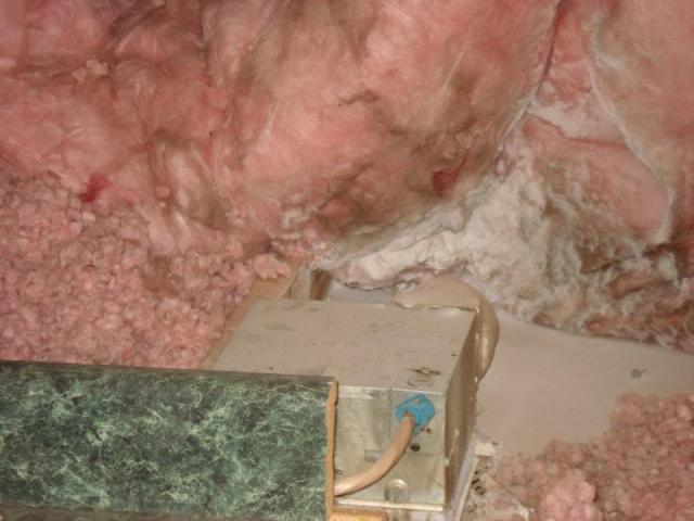 Moldy Insulation