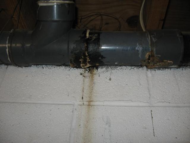 Sewer Leak