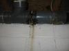 Sewer Leak