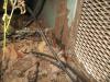 Rusty Heat and Air unit